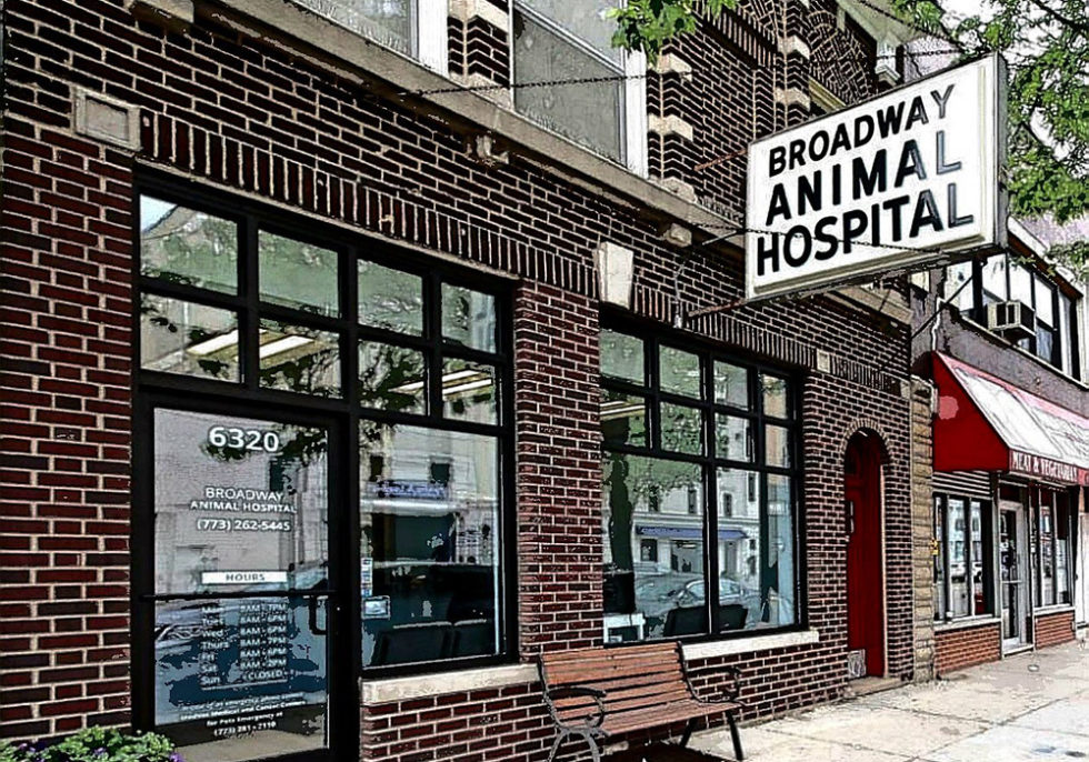 About Chicago, IL 60660 Veterinarian Broadway Animal Hospital