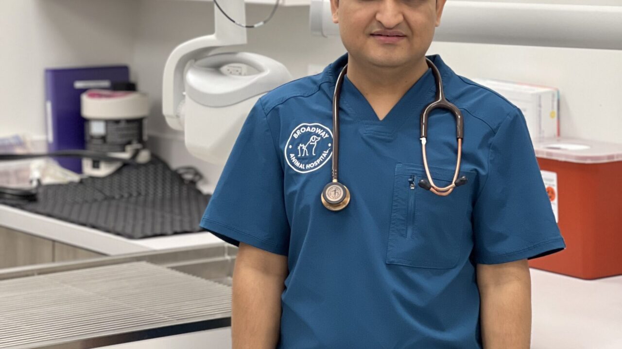 Chicago, IL 60660 Veterinarians Broadway Animal Hospital